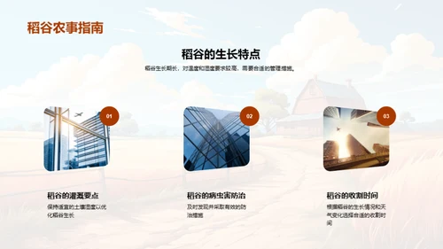 寒露农事指南