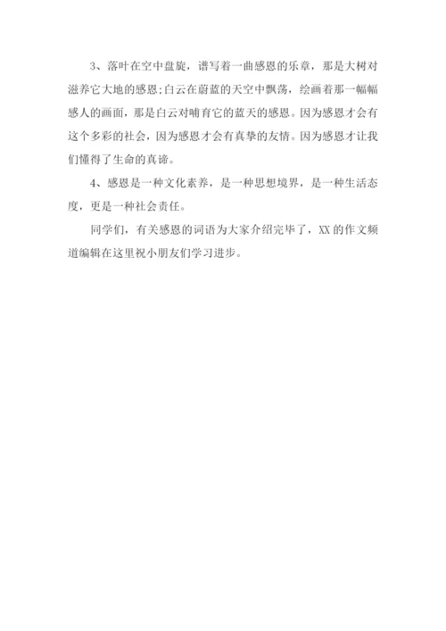 感恩：有关感恩的词语精选.docx