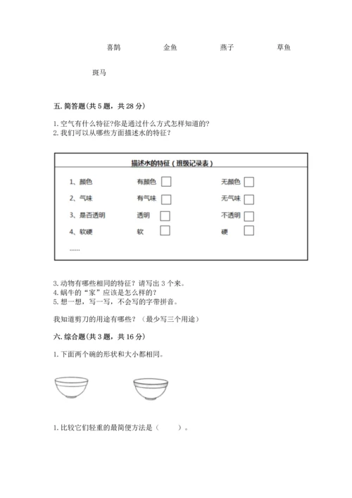 教科版一年级下册科学期末测试卷附完整答案【全国通用】.docx