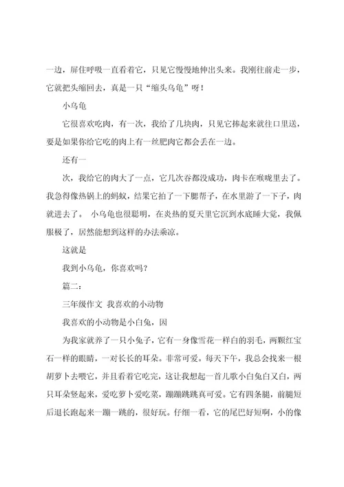 我喜欢的小动物(600字)作文