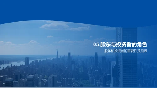 公司发展全景解析