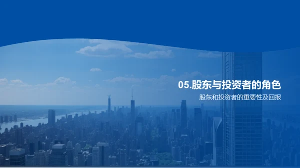 公司发展全景解析