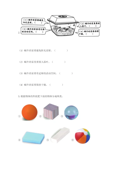 教科版一年级下册科学期末测试卷及答案【精品】.docx