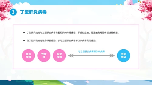 全国爱肝日肝病知识宣传PPT模板