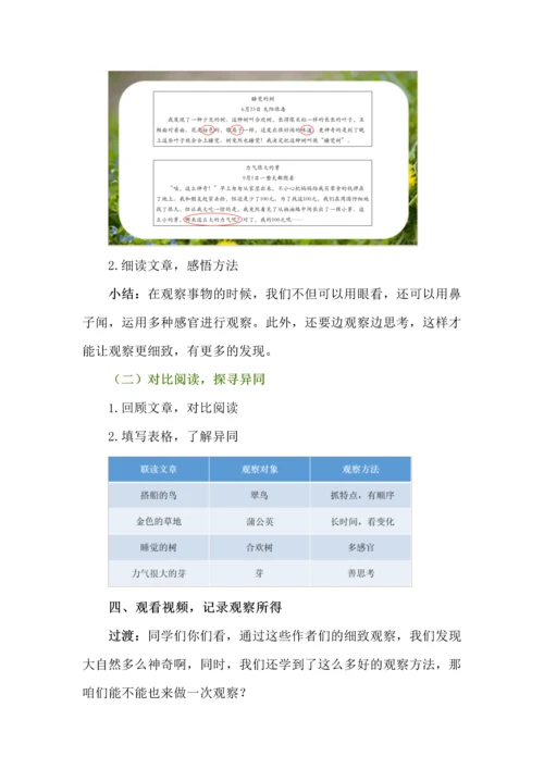细致观察看变化--三年级语文上册第五单元《金色的草地》任务型教学设计.docx