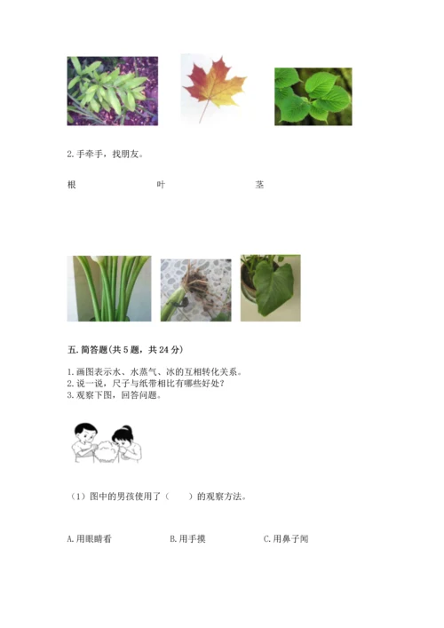 教科版一年级上册科学期末测试卷含答案（巩固）.docx