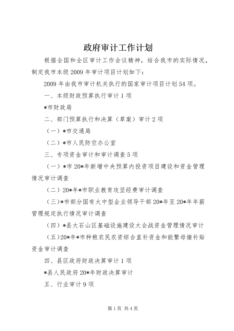 政府审计工作计划.docx