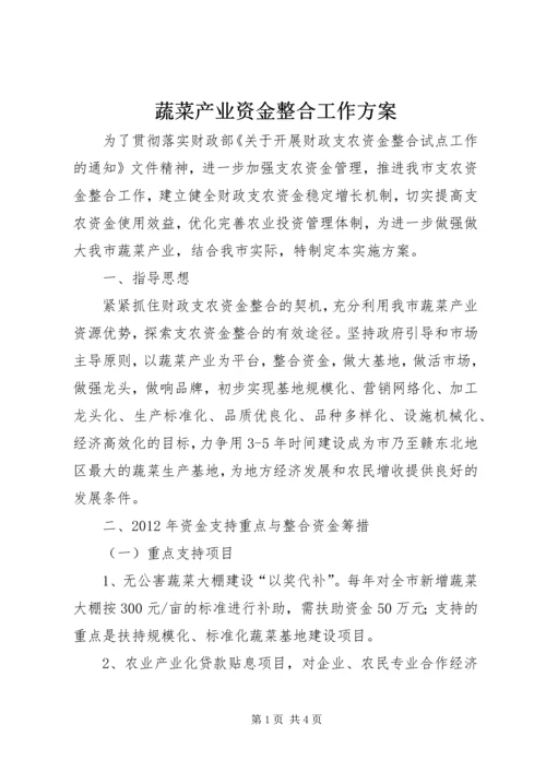 蔬菜产业资金整合工作方案.docx