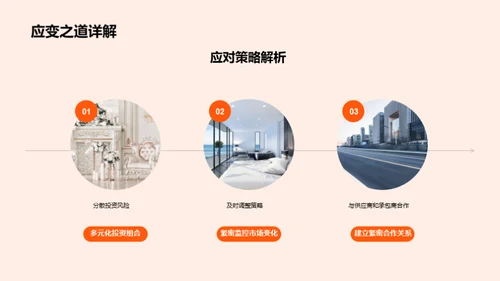 项目投资策略解析