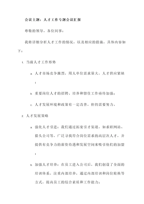 人才工作专题会议汇报