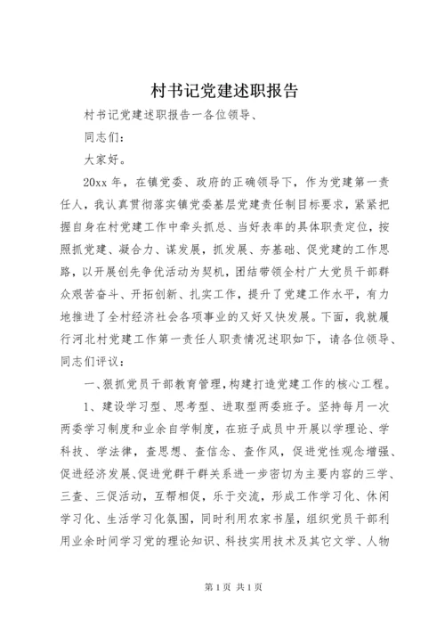 村书记党建述职报告 (3).docx