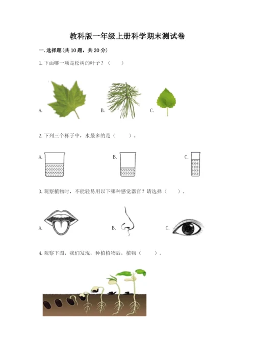 教科版一年级上册科学期末测试卷（精华版）.docx