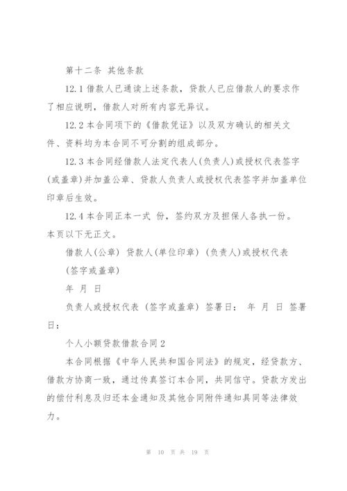 个人小额贷款借款合同模板.docx