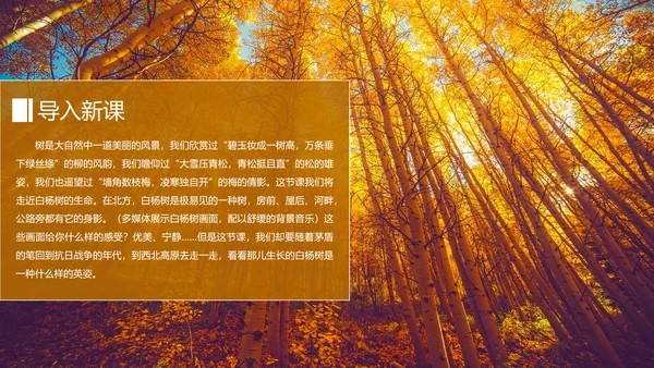 初中语文茅盾《白杨礼赞》PPT教学课件