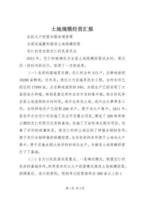 土地规模经营汇报 (2).docx