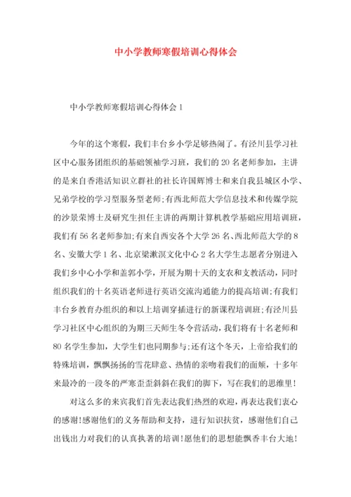 中小学教师寒假培训心得体会.docx