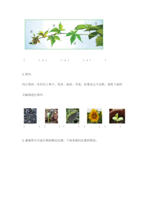 教科版一年级上册科学期末测试卷【b卷】.docx