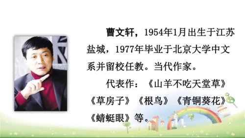 21《芦花鞋》课件