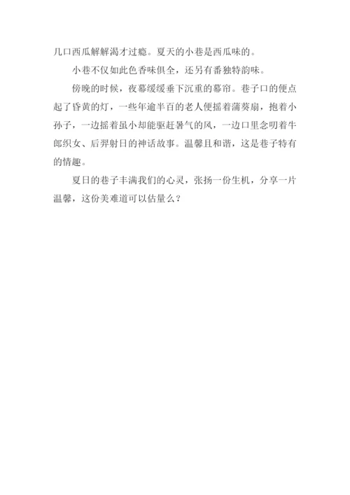 夏天的小巷作文600字.docx