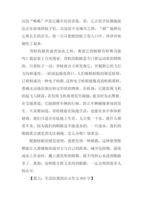 什么的启示作文800字.docx