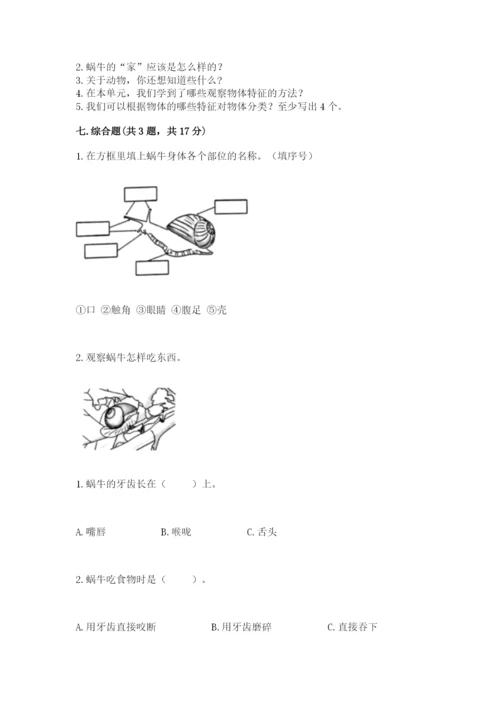 教科版一年级下册科学期末测试卷附答案（考试直接用）.docx