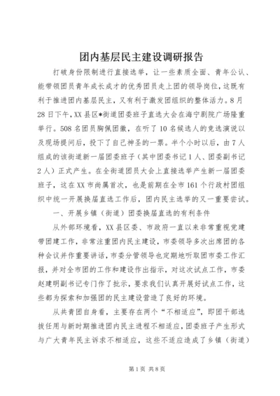 团内基层民主建设调研报告.docx