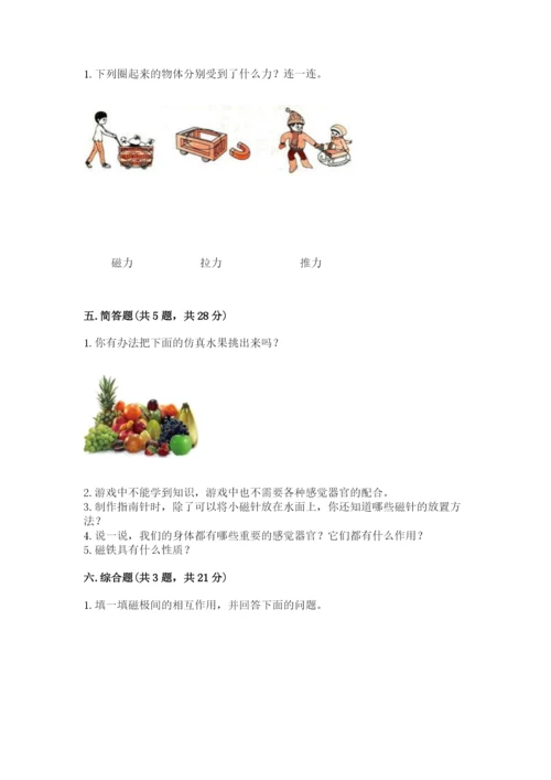 教科版小学科学二年级下册 期末测试卷含完整答案（网校专用）.docx