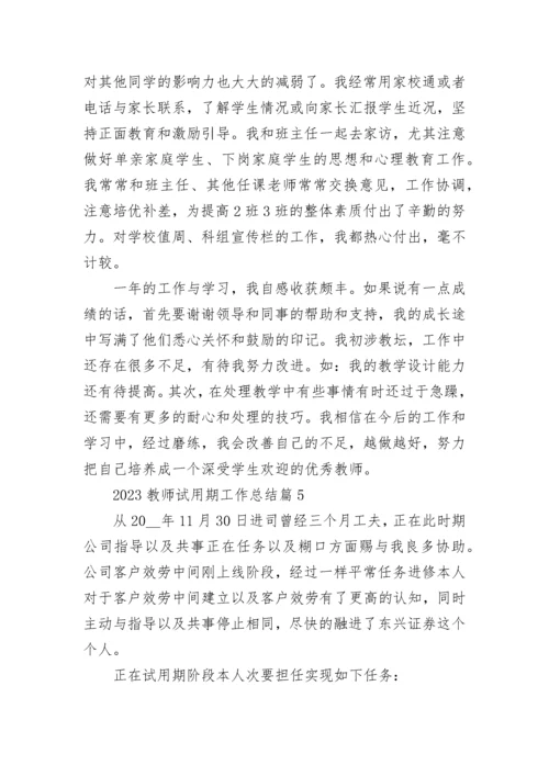 2023教师试用期工作总结范文7篇.docx