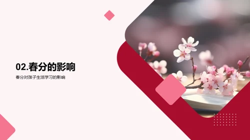 春分节气与生活学习