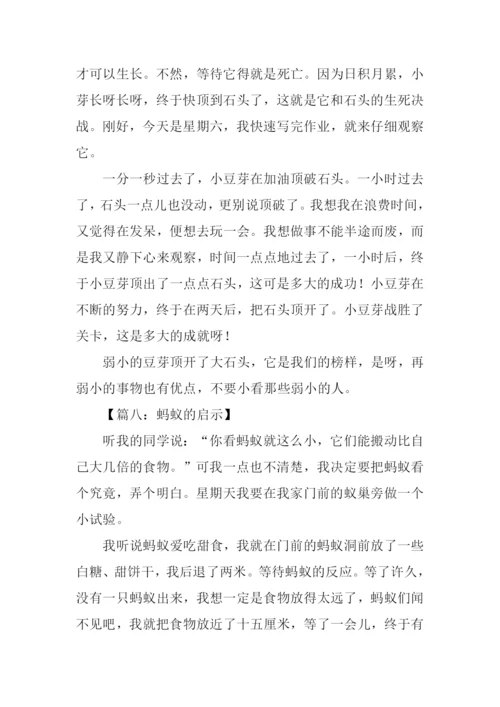什么的启示作文250字.docx