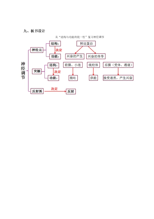 神经系统的结构和功能1