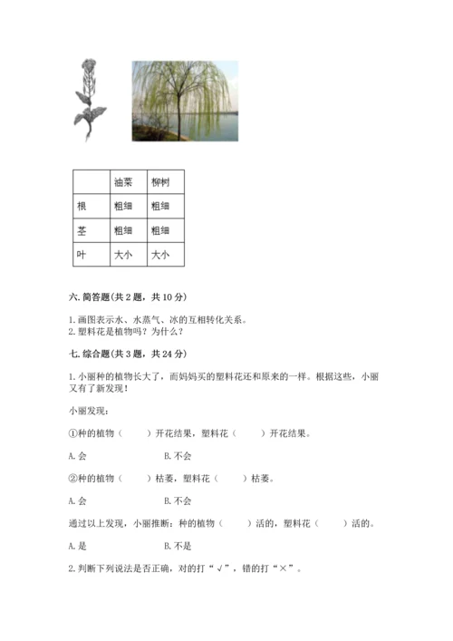 教科版科学一年级上册第一单元《植物》测试卷附完整答案【精品】.docx