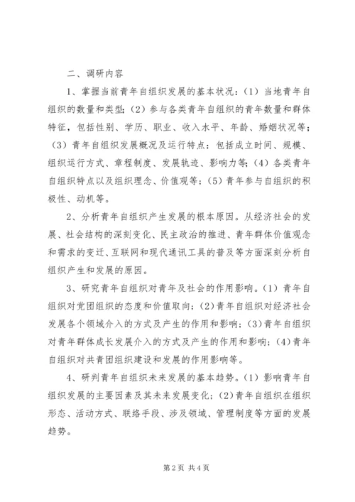 青年自组织调研指导方案.docx