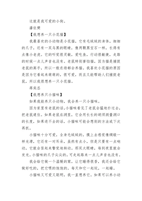 我想养的小动物100字写话.docx