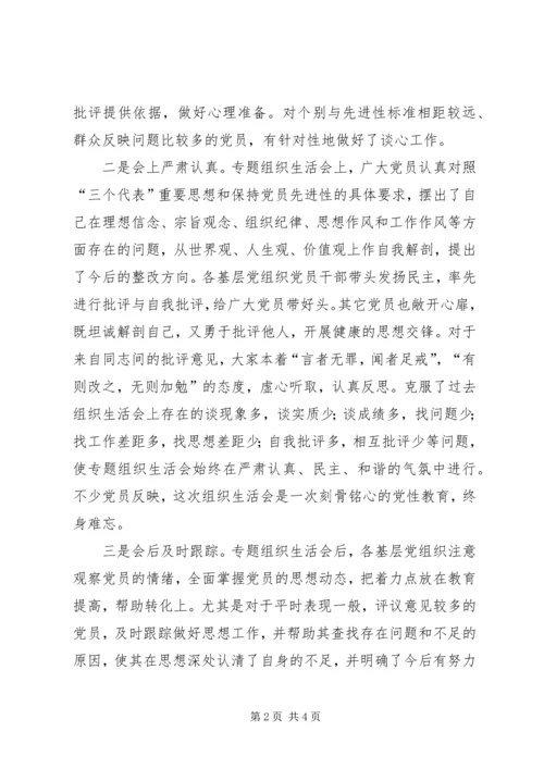 镇专题组织生活会小结.docx