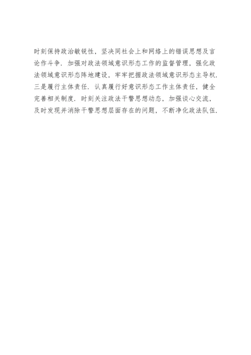 政法委书记落实意识形态工作责任制自查报告.docx