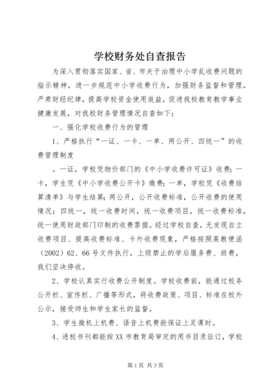 学校财务处自查报告 (9).docx