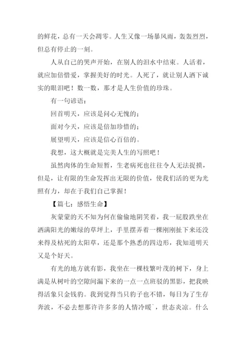 我的感悟作文600字.docx