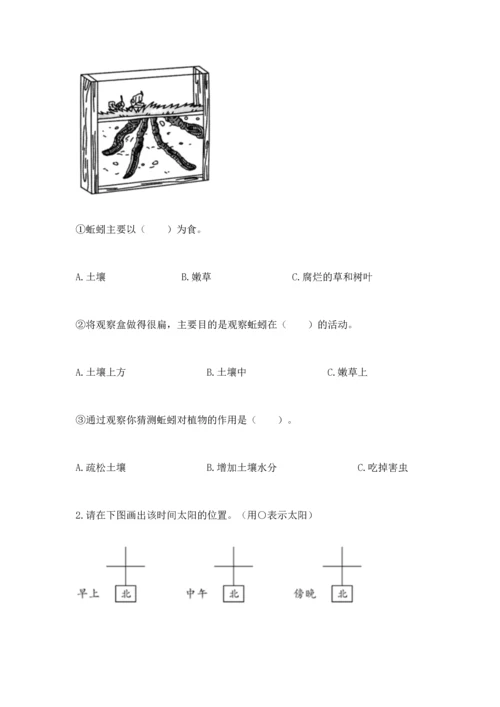 教科版科学二年级上册《期末测试卷》带答案（达标题）.docx