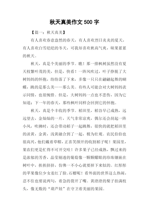 秋天真美作文500字.docx
