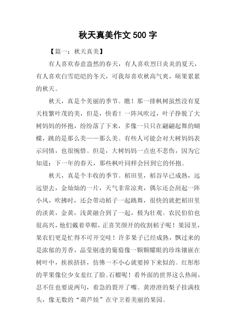 秋天真美作文500字.docx