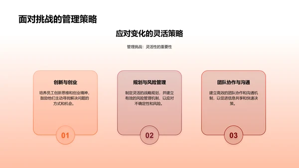 管理学应用总结PPT模板