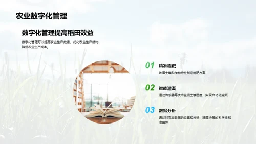 稻田科学种植