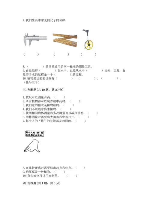 教科版科学一年级上册期末测试卷附答案（巩固）.docx