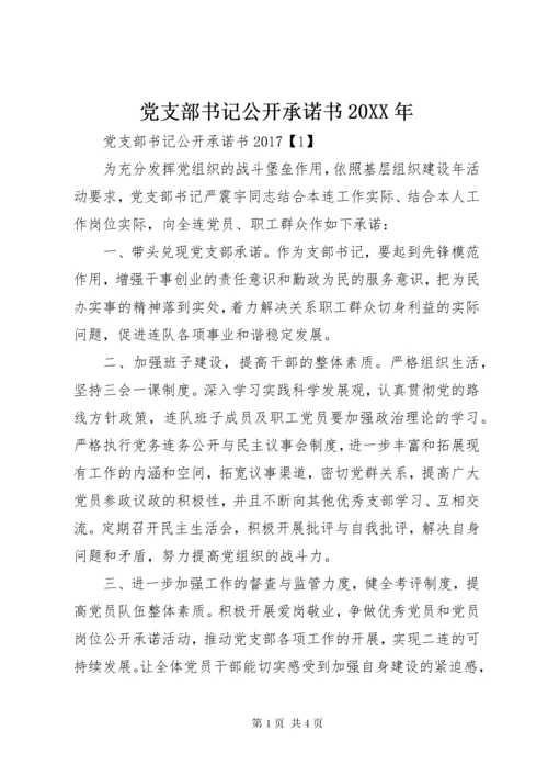 党支部书记公开承诺书某年.docx