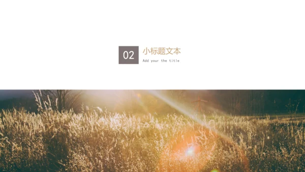 清新唯美商务商业计划书通用PPT模板
