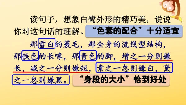 1 白鹭   课件