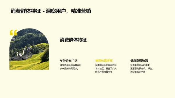 农电新品策略解析