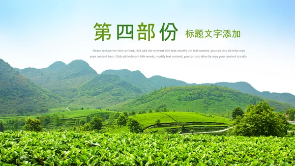 清新茶叶茶道春茶农村旅游茶园绿茶红茶PPT