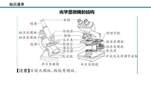 人教版生物七年级上册第一单元《生物与细胞》单元复习课件(共53张PPT)